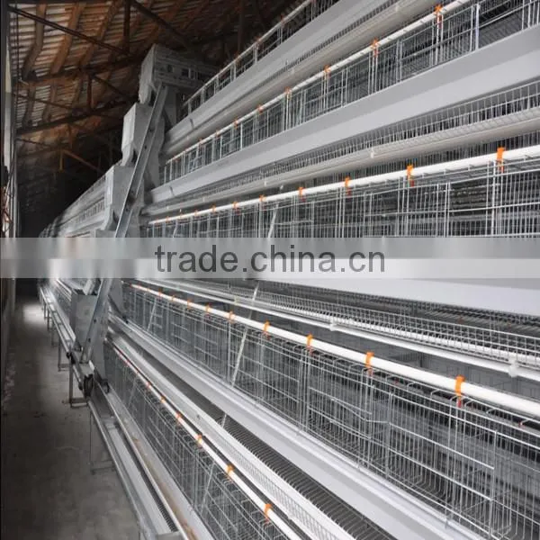 Poultry Slaughtering Equipment Chicken Slaughtering Equipment
