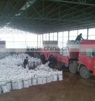 7720-78-7 Ferrous Sulphate On Hot Sale photo-2