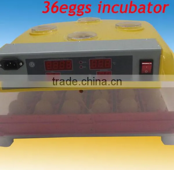 144 Quail Egg Mini Hatchery Price in UK WQ-36 photo-3