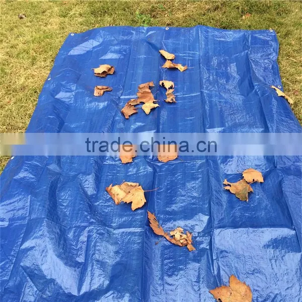 Coated Popular Tarpaulin photo-3