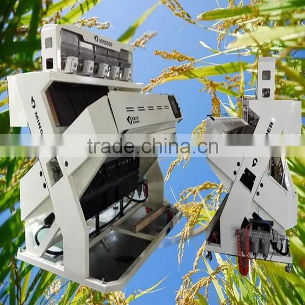 Rice Color Sorter,Millet Color Sorter With CCD Camera photo-3