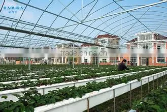Factory Price Poly Carbonate Greenhouse for Tomato /cucumber photo-2