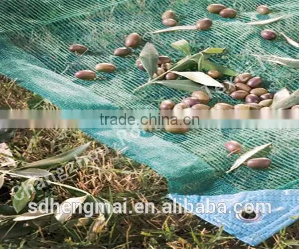 China Direct Factory HDPE / Longterm Usage/ Olive Net photo-6