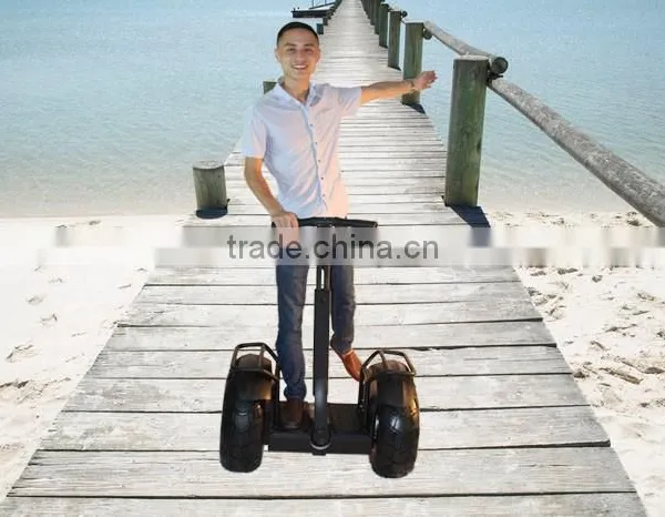 Zappy 2 Wheel Self Balancing Electric Scooter 2000w 84v Leadway (W5L-122) photo-4