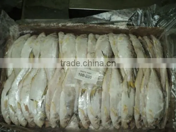 Katti Fish photo-2