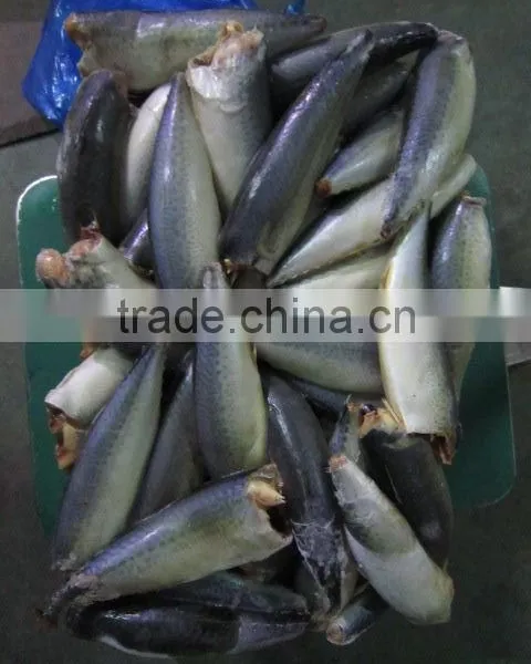 Frozen HGT Pacific Mackerel photo-4