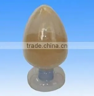 Hot Selling Cordyceps Capsule photo-2