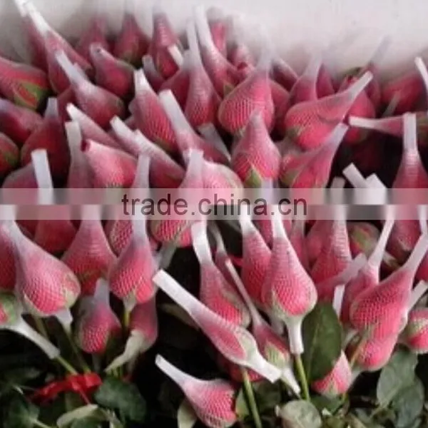 Flower Bouquets Sleeves photo-4