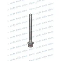 Truck Tubeless Clamp-in Tire Valves Nickel Plated TR545D