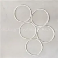 PTFE Backup Ring