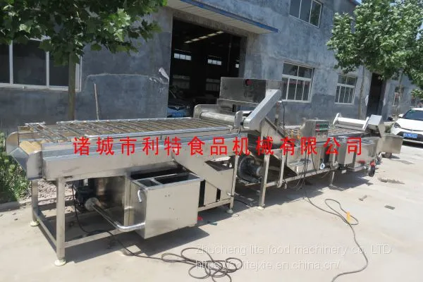Jujube Cleaning Machine, Jujube Cleaning Line, Jujube Processing Equipment photo-5