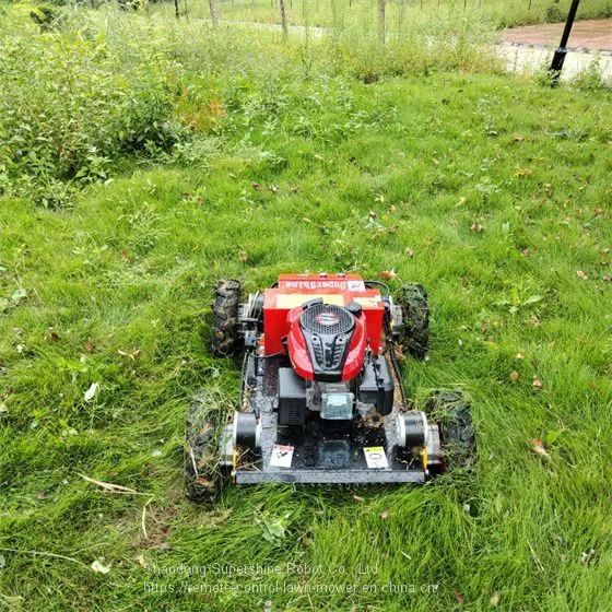 Robot Slope Mower, China Remote Control Lawn Mower With Tracks Price, Grass Cutter Price for Sale photo-2