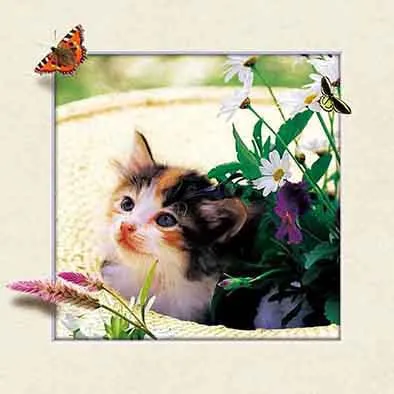 5D Picture of Flowers Plastic Decoration 3d Lenticular Flowers Picture photo-4