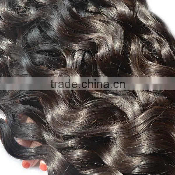 Qingdao Elegant Hair Malaysian Natural Wave Bundles, no Chemical Processed , Wholesale Price photo-3