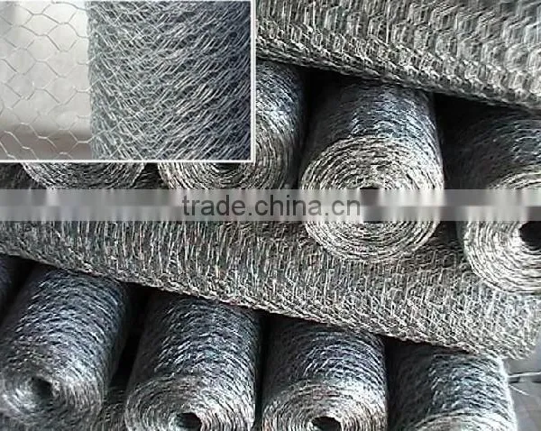 Galvanized Hexagonal Wire Netting photo-4