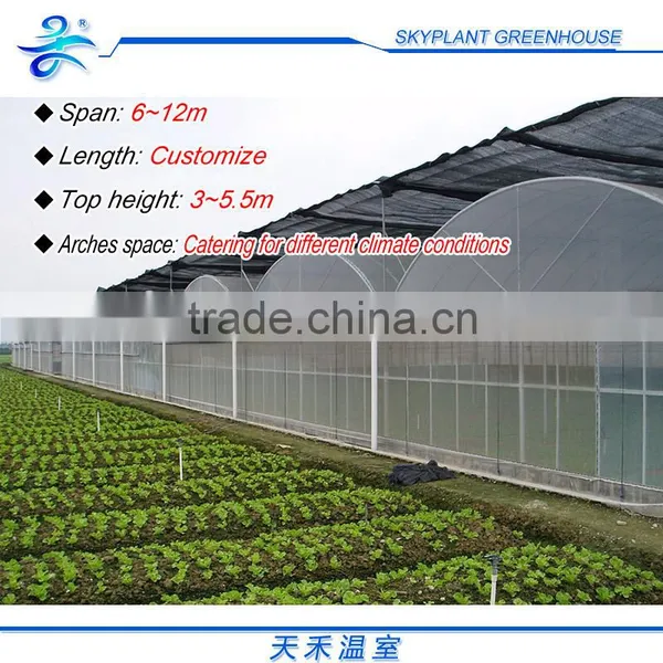 Plastic Film Greenhouse Large for Flowers Vegetables photo-4