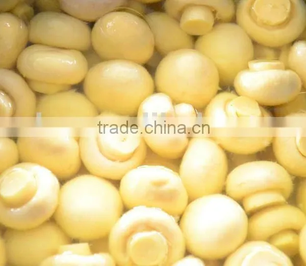 Canned Mushrooms in Glass Jar Branded Canned Food Products photo-2