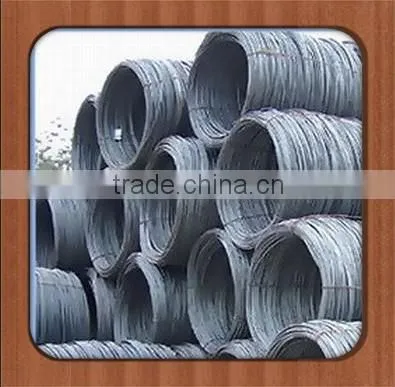 China Standard Hot Sale Steel Wire Rod Shareholders photo-2