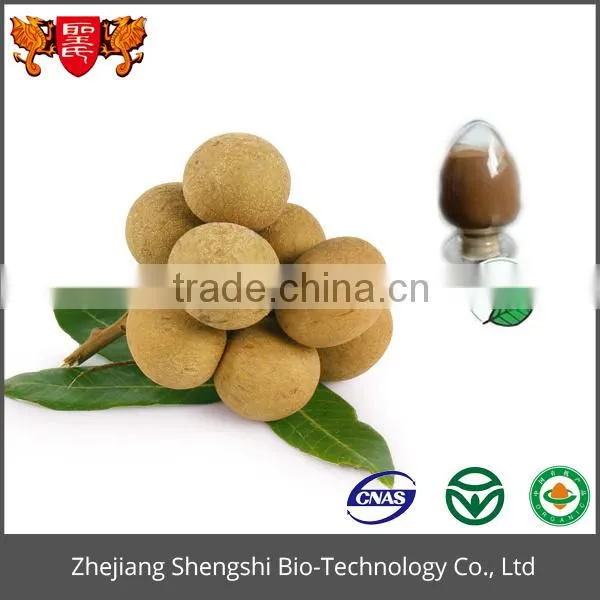 Top Quality Fruit Extract Longan Fruit Extract Powder