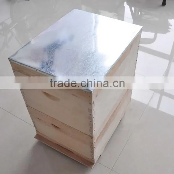 Apis Cerana Beehive photo-4