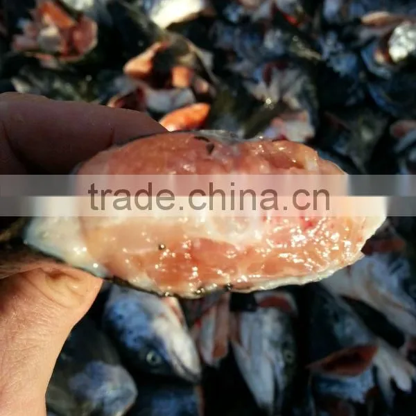 Salmon Tails photo-5