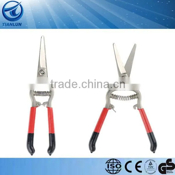 branches shears garden tools scissors garden shears