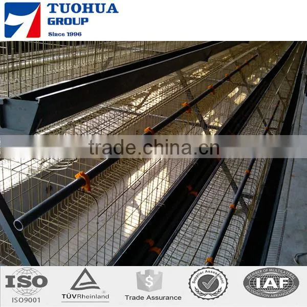 Broiler Chicken Cage,poultry Farm Layer Cage photo-2