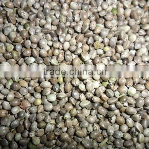 2014 New Crop Hemp Seeds