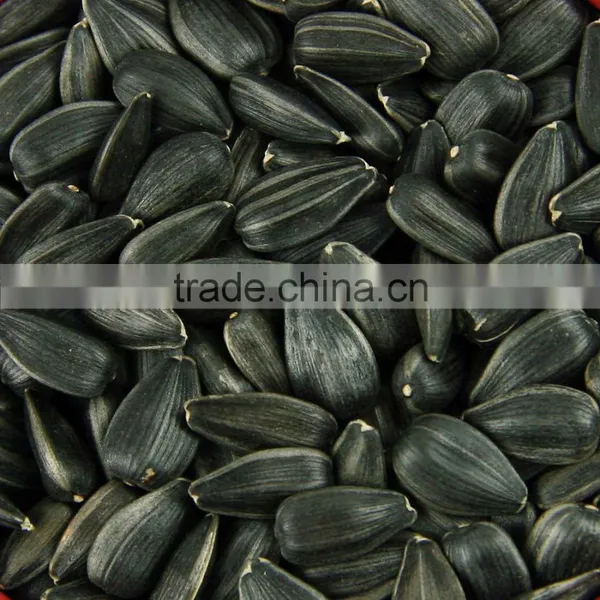 Chinese Oil Sunflower Seeds