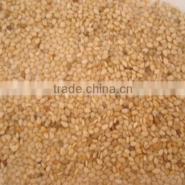 Natural Sesame Seed White Colour