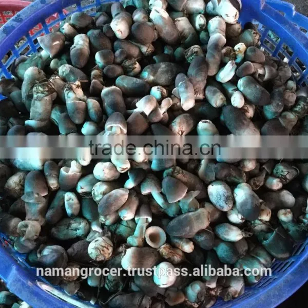 Dried Paddy Straw Mushroom (Volvariella Volvacea) photo-2