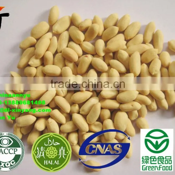 Peanut Kernel photo-2
