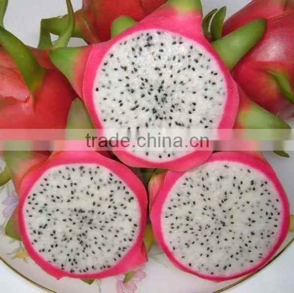 Frozen White or Red Dragon Fruit photo-2