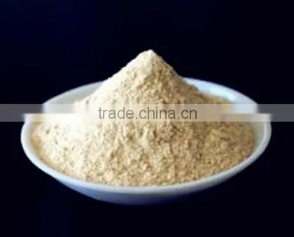 Vital Wheat Gluten High Purity Food Additive With Low Price