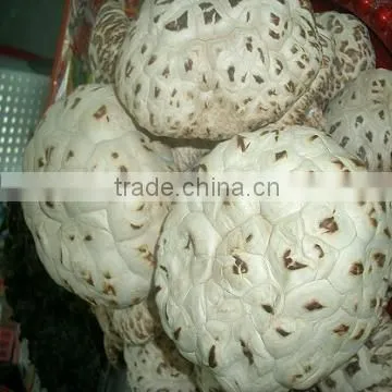 Dried Shiiitake Mushroom(with White Flower)