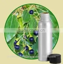 Camphor Oil photo-2