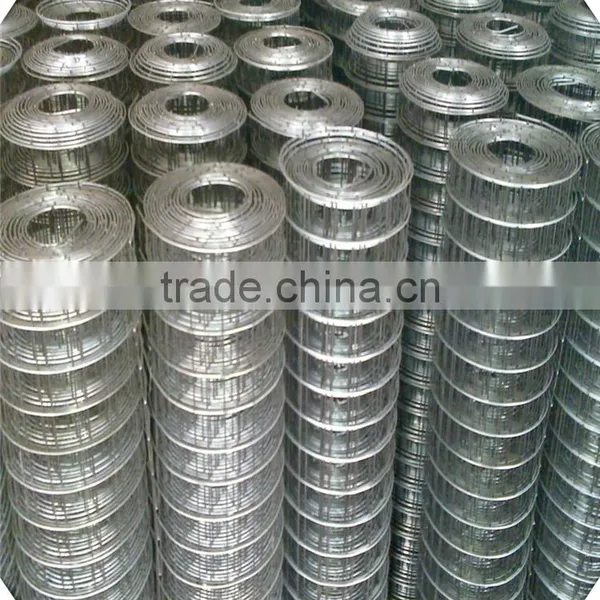 Galvanized Welded Wire Mesh / Weled Wire Mesh Factory photo-4