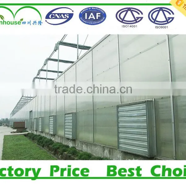 China Agricultural Greenhouse photo-5