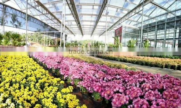 Flower Greenhouse
