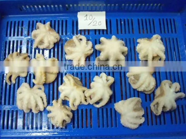 Frozen Octopus Whole Cleaned photo-2