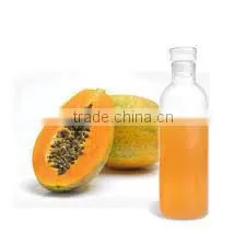 PAPAYA POWDER EXTRACT photo-4