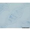 Sell Ceramic Tile