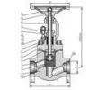 Compact Steel Globe Valve
