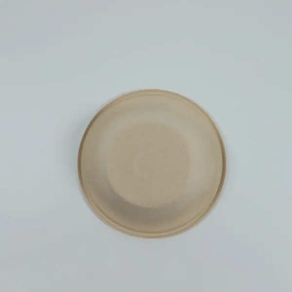 Disposable Biodegradable Bowl photo-3