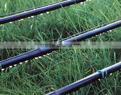 Hot Dipped Galvanized Agricultural Tunnel Greenhouse photo-2