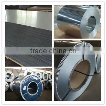 Steel Plate Galvanized Steel Coil for Turkey