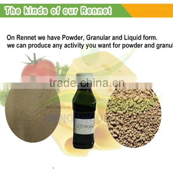 Microbial Rennet Powder Factory Price photo-4