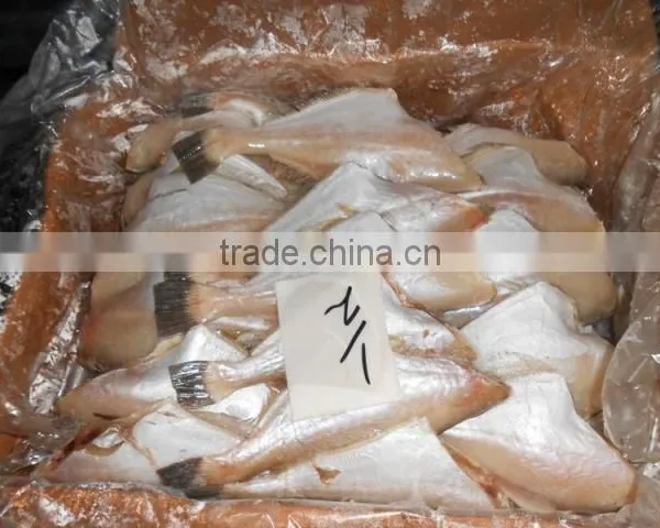 FROZEN LEATHER JACKET FISH photo-2