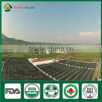 China Professional Supplier Factory Price for Shiitake Mushroom Spawn Growing Kit photo-5