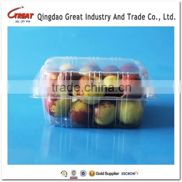 Blueberry Plastic Container Plastic Fruit Container Fruit Packaging Box for Blueberry Cherry 1000 Gram